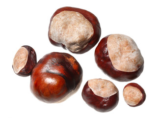 Chestnuts