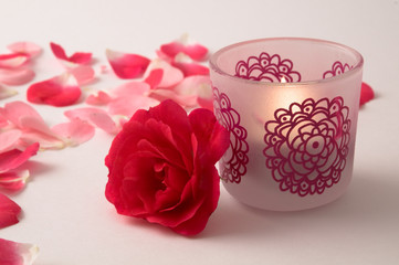 Rosenblüte und Windlicht
