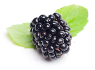 Blackberry