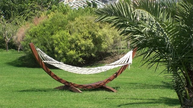 A hammock in a garden, empty