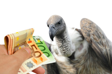 Geld 215