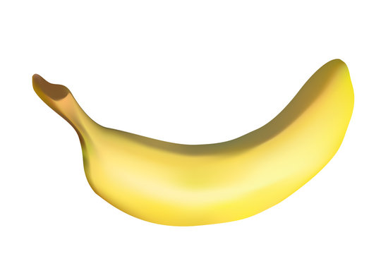 vector illustration of a banana