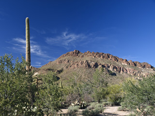 Arizona Landscape