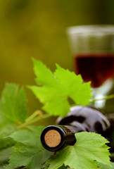 red red wine - weinflasche mit weinlaub und rotweinglas