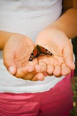 Papillon dans les mains d'un enfant