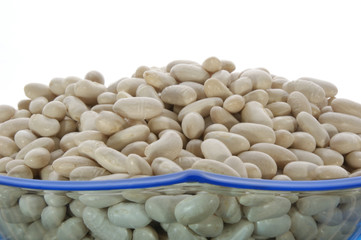 organic white beans in a glass bowl