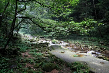 Foto op Plexiglas China national forest park - Zhangjiajie © Gary