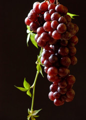 bunch of fresh grapes.