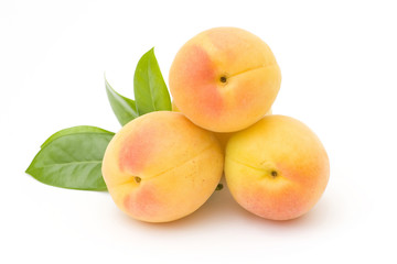 apricots