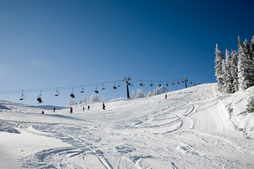 alpine ski #1 - 16959475