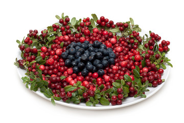 Cowberry and whortleberry on plate