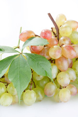 bunch of fresh grapes.