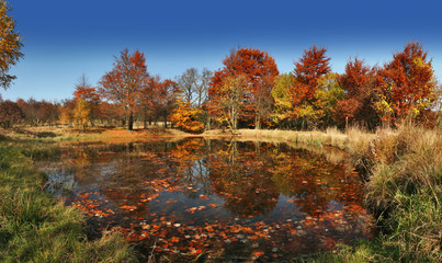 Fototapeta premium beautiful autumn scenery with lake