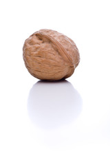 Einzelne Walnuß auf weißem Hintergrund mit Schatten