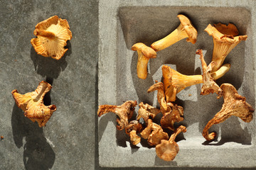 Pfifferlinge in grauer Tonschale