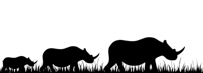 rhinoceros © Forewer