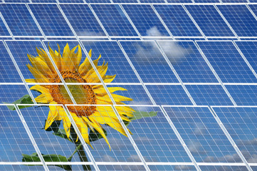 Solarzellen 4