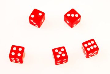 Five dice on a white background