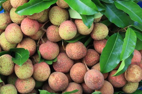 Lychee