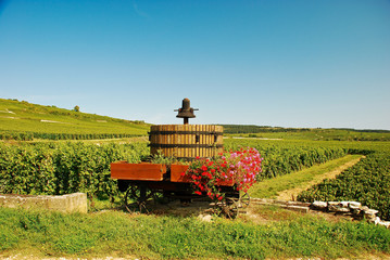 Bourgogne, le vignoble près de Pommard