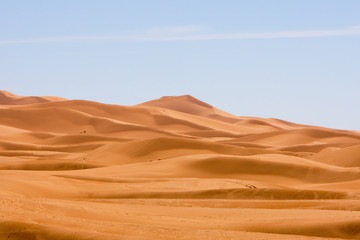 the dunes