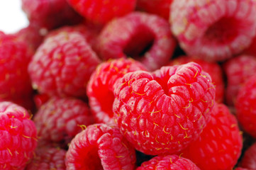 fresh raspberry crop