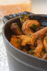 Chanterelle mushrooms