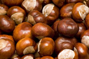 chestnuts