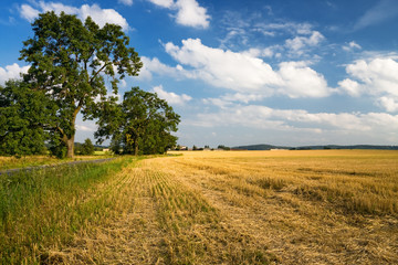 Fototapeta premium Late summer view