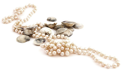 Fototapeta premium shells and pearls