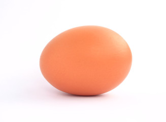 chicken egg on white background