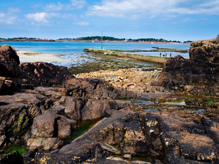Côte bretonne (Bréhat)