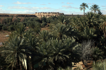 marocco