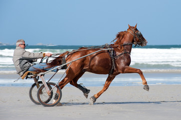 Entrainement sur la plage