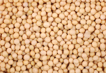 Soybeans Background