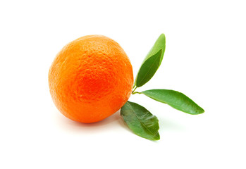 mandarin