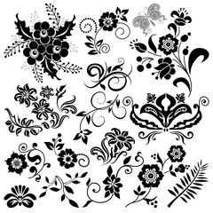floral elements for design