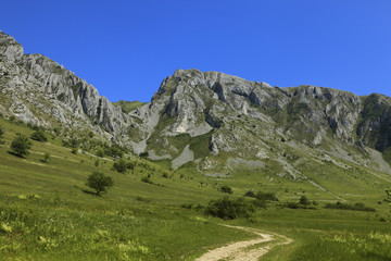 Fototapeta na wymiar Trascau Góry, Transylwanii, w Rumunii