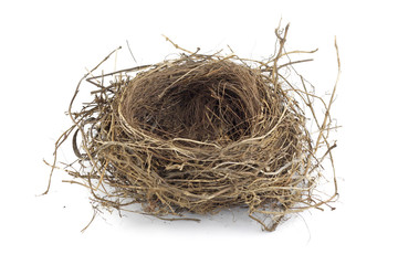 Bird nest - 16997047