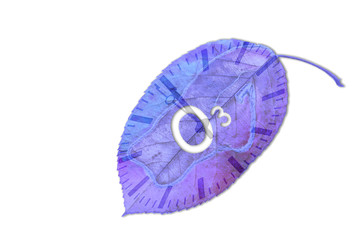 ozon