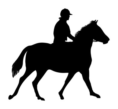 equestrian horse rider silhouette