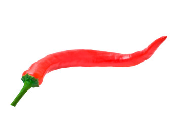 red hot chili pepper