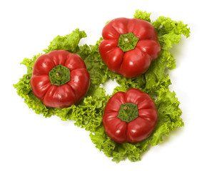 Red bellpeppers on leaves of salad isolated