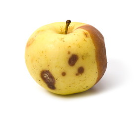 Bad rotten apple isolated