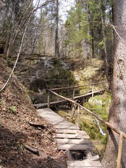 Waldweg mit kleinen Wasserfällen - Forest path with waterfalls