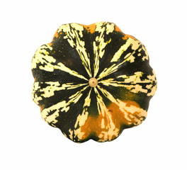 BACKGROUND TEXTURE OF CARNIVAL SQUASH