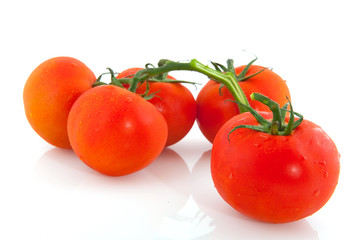 Bunch tomatoes