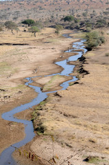 the water line _Tanzania