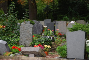 friedhof