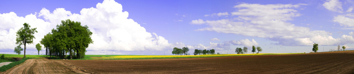 Obraz premium Paesaggio cuneese